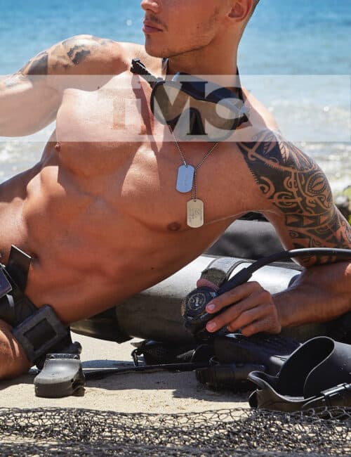 hetero top gigolo tristan